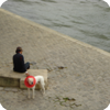Seine-Ufer-Zweisamkeit, Paris